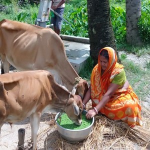 How Choosing Organic Food Supports Farmers and Nature
